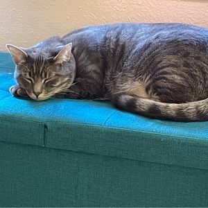 Meet your Posher, Macie